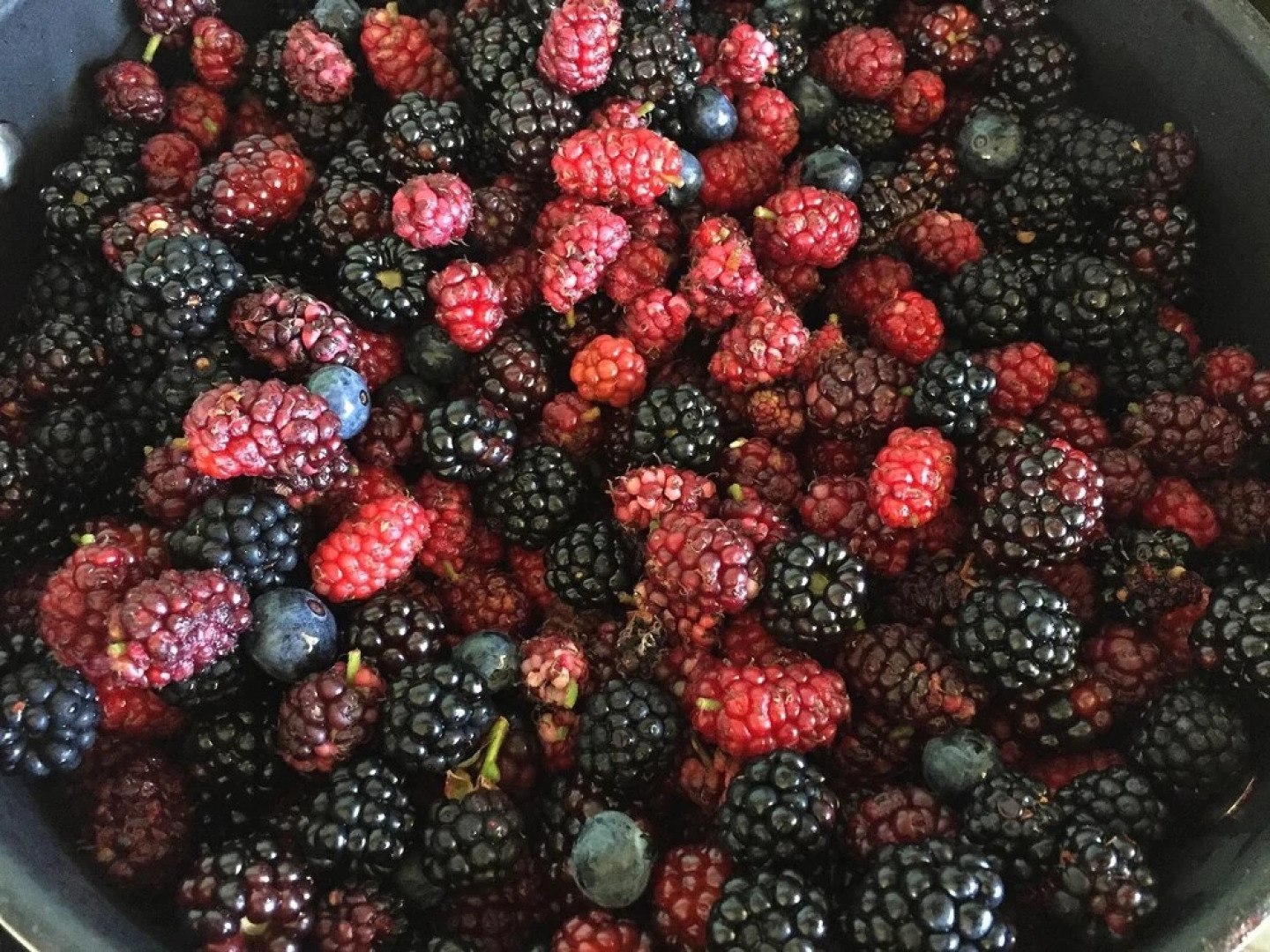 The Chocolate Lily B&B