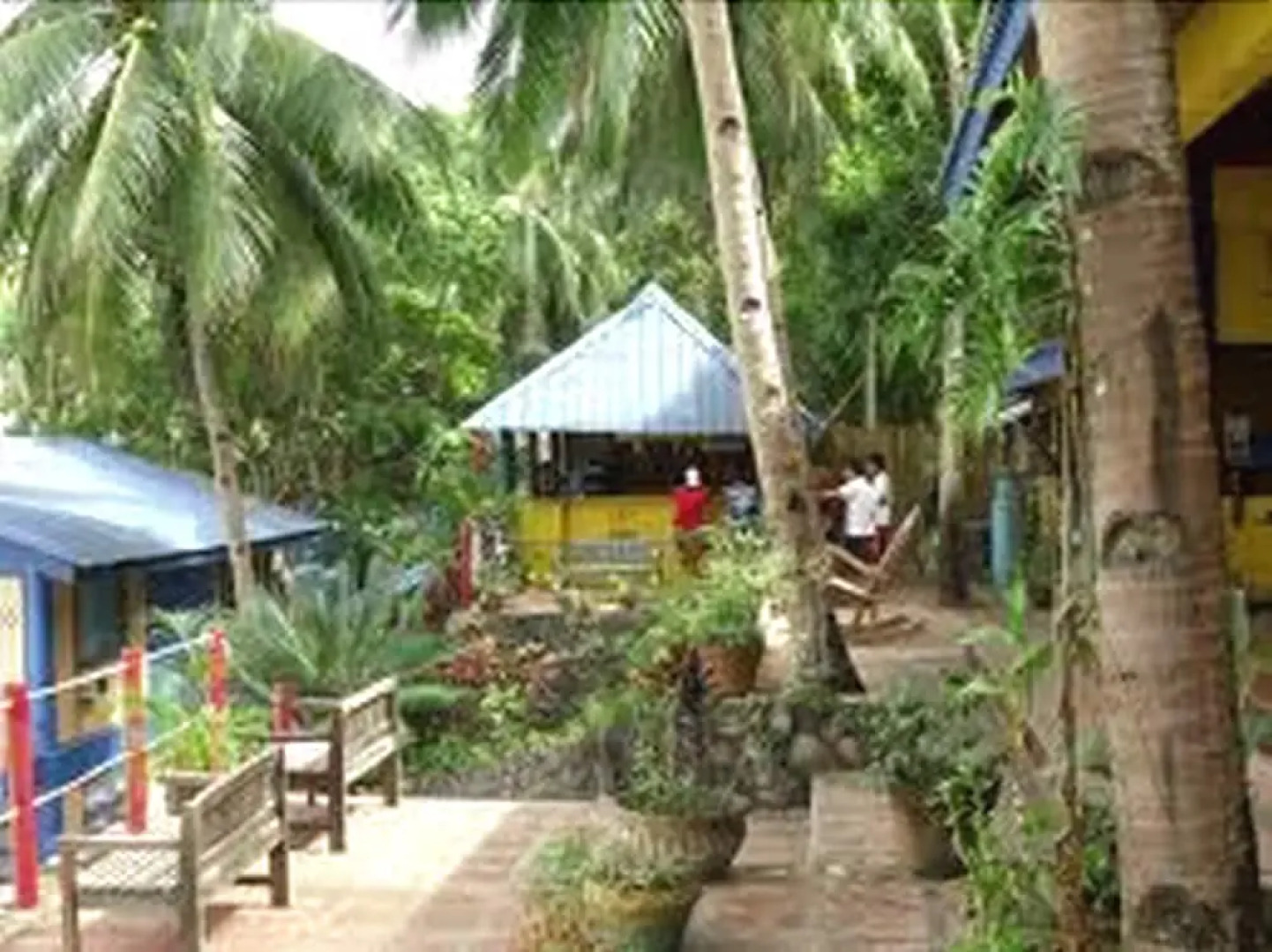 Dive Link Coron Adventure Island Resort