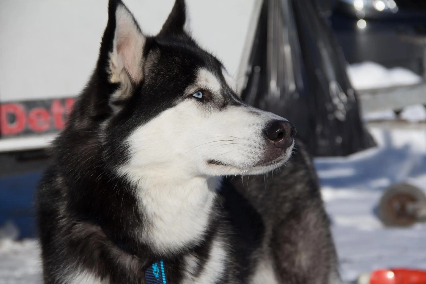 Selke´s exklusives Ferienhaus