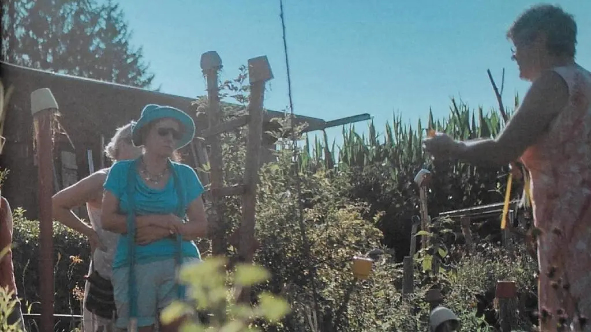 Fewo "allgäuphorie", Oberreute