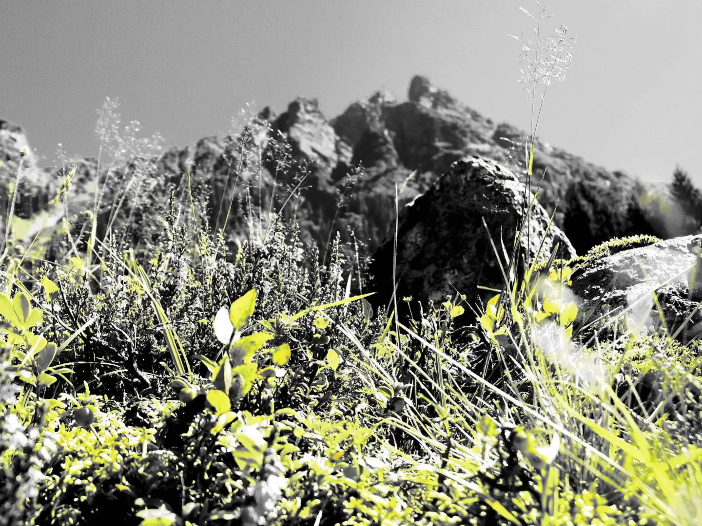 Sporthotel  Bachmann