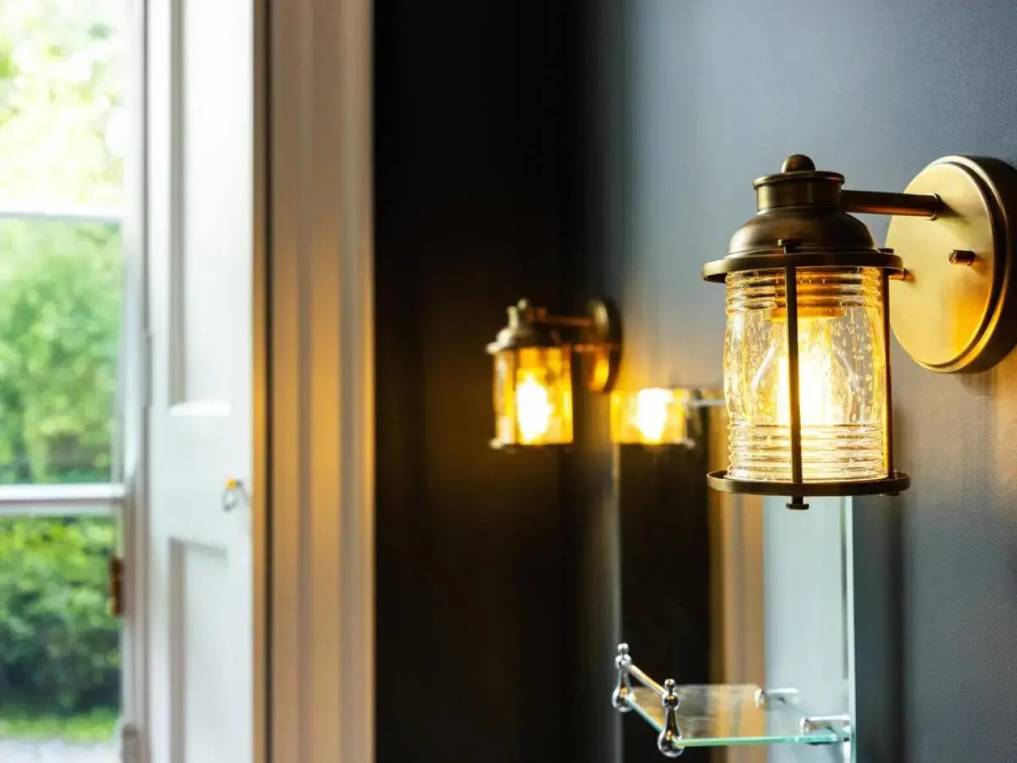 The Forest at Mount Congreve Gardens