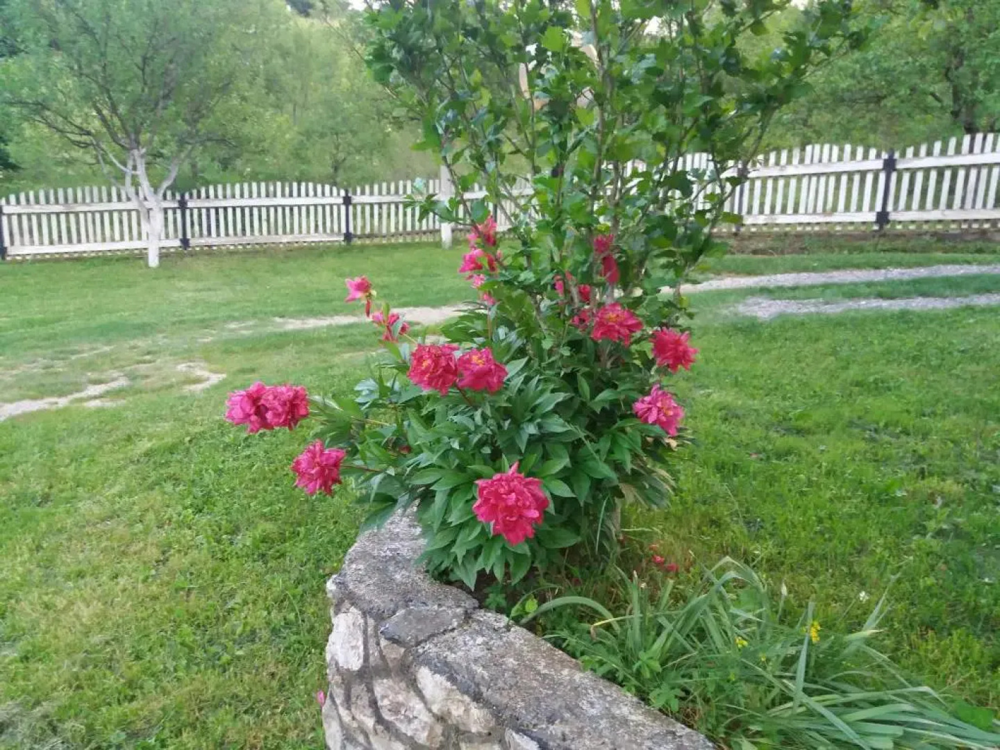 Apartment Una Strbacki Buk