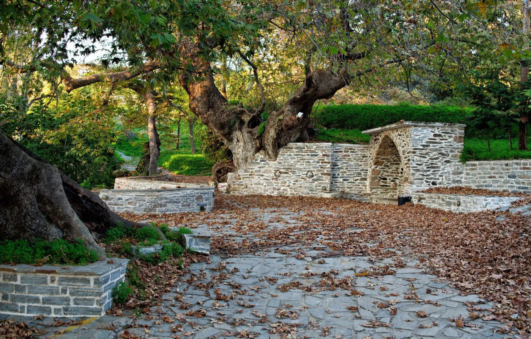 Venus Beach Bungalows Hotel