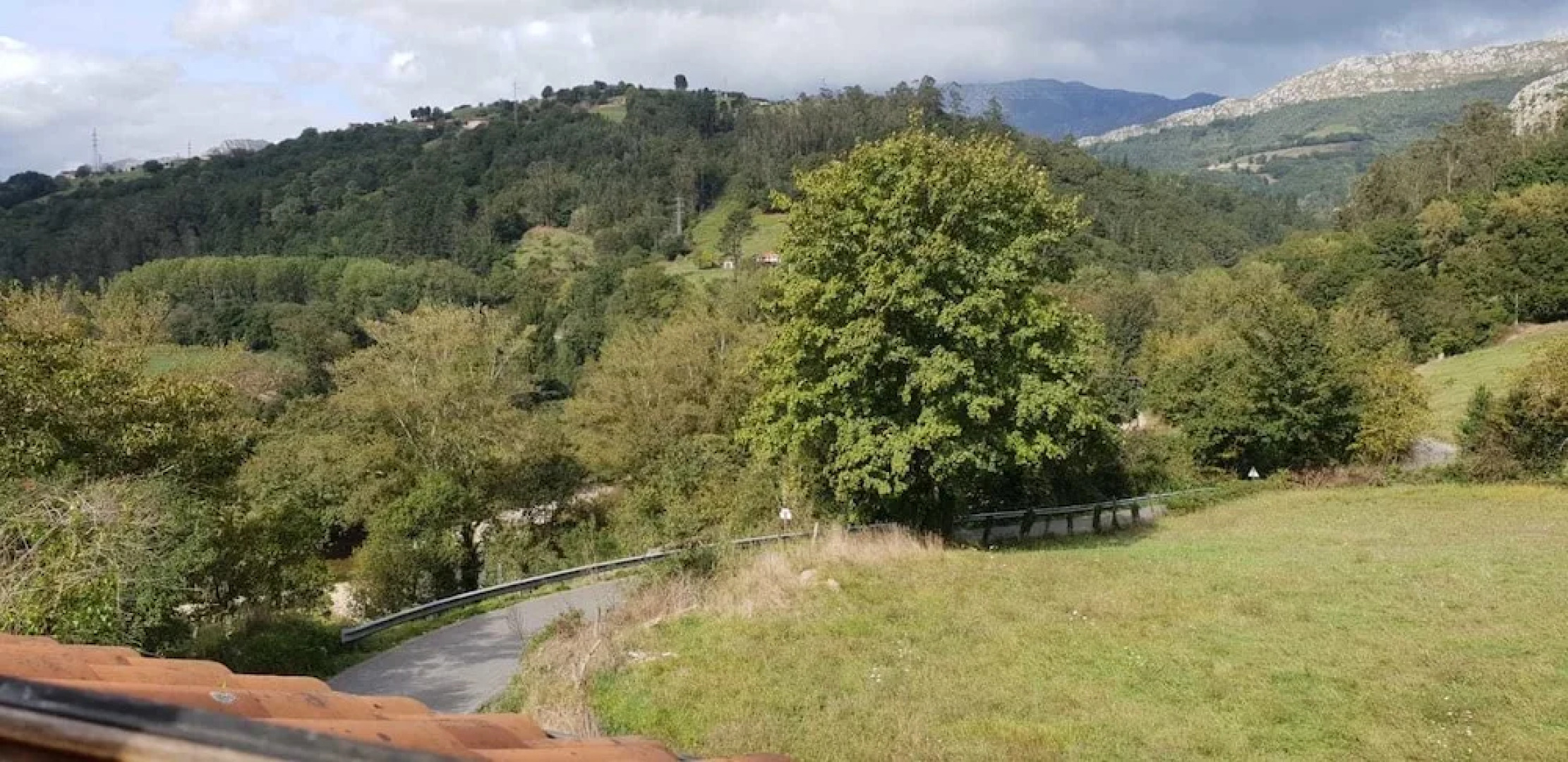 El Búho de la Remolina