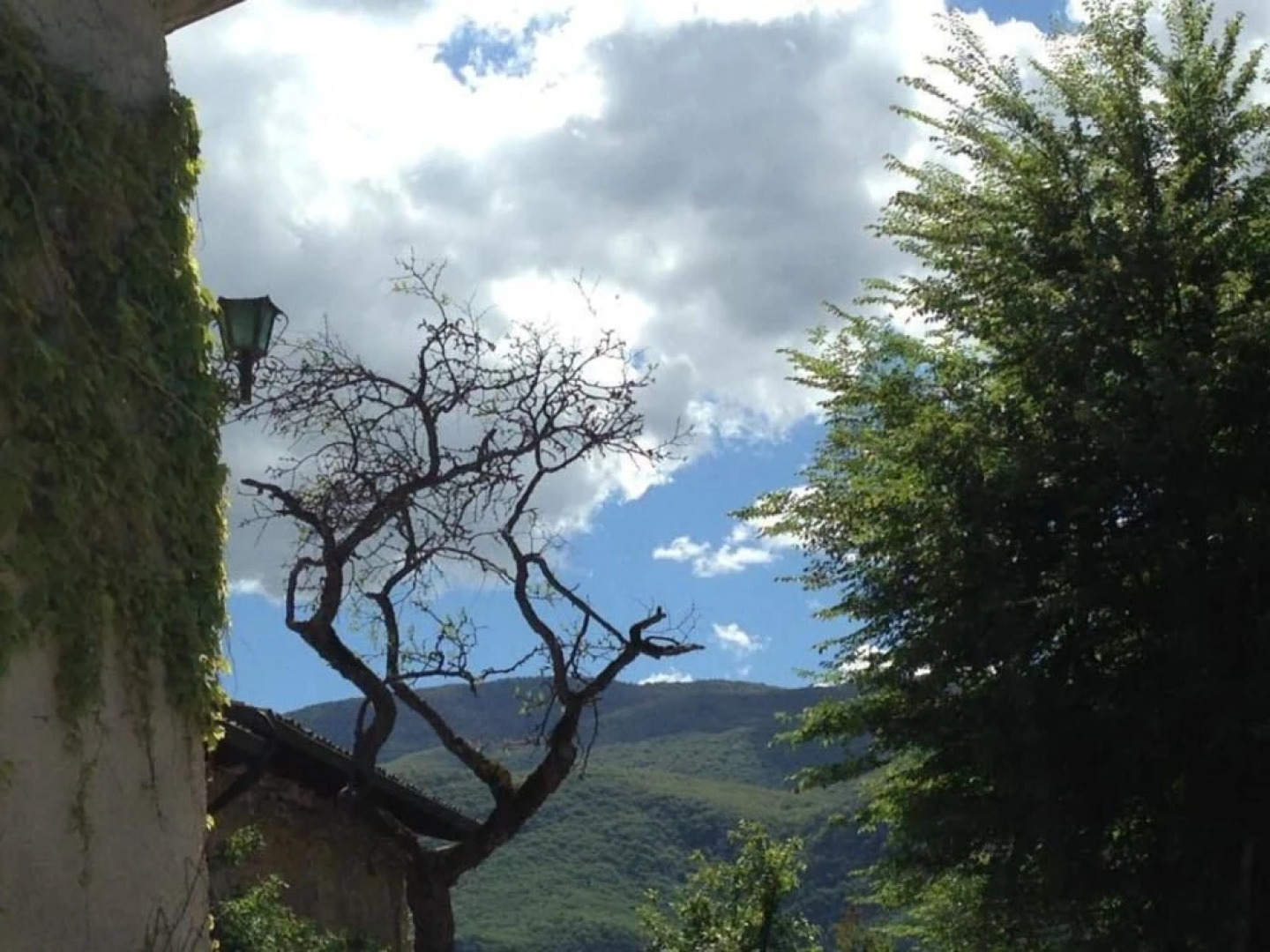 Alle Vecchie Querce - La Lavanda