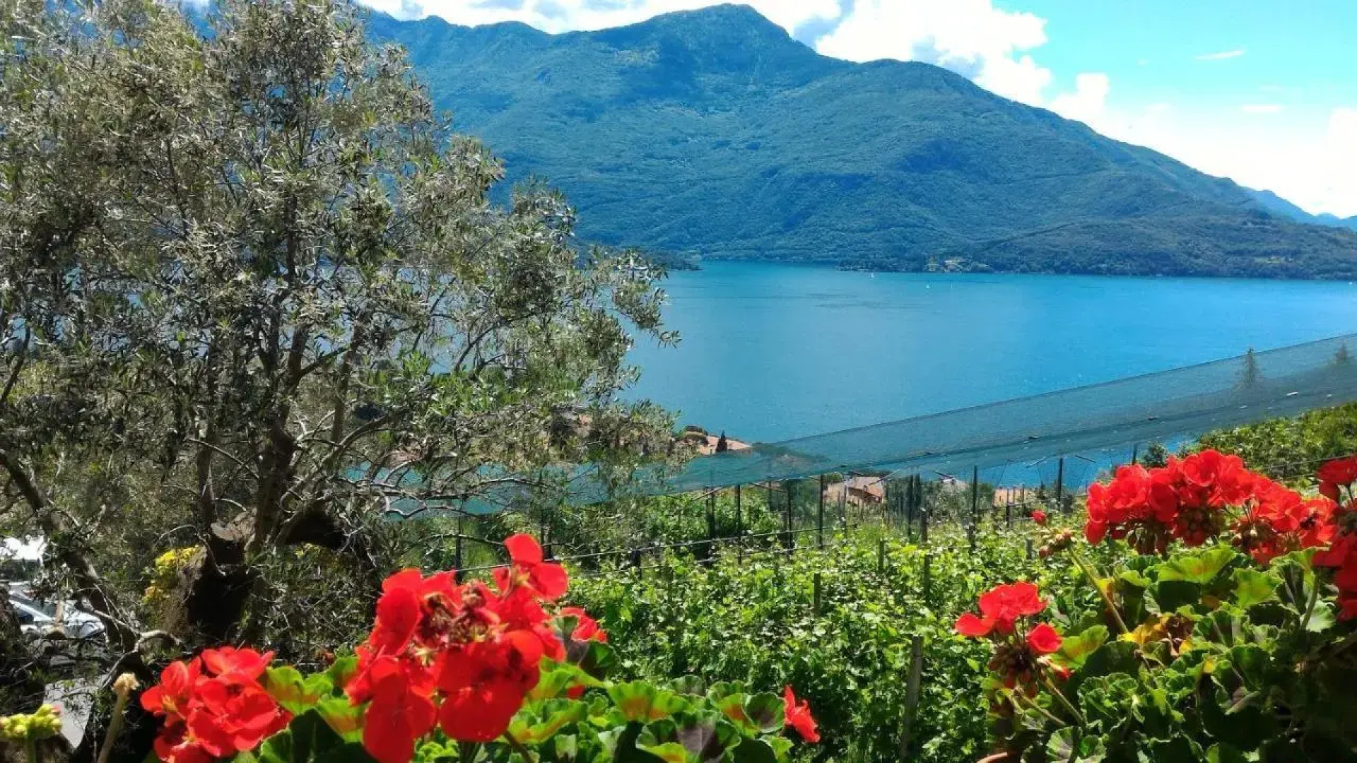 Valtellinaguesthouse