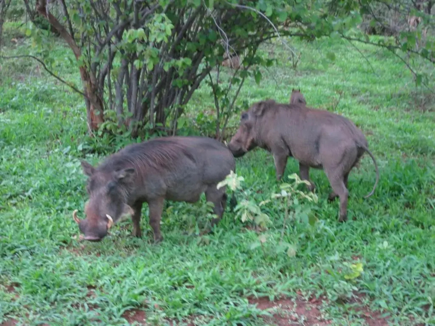 Riverbend Self Catering Cottages