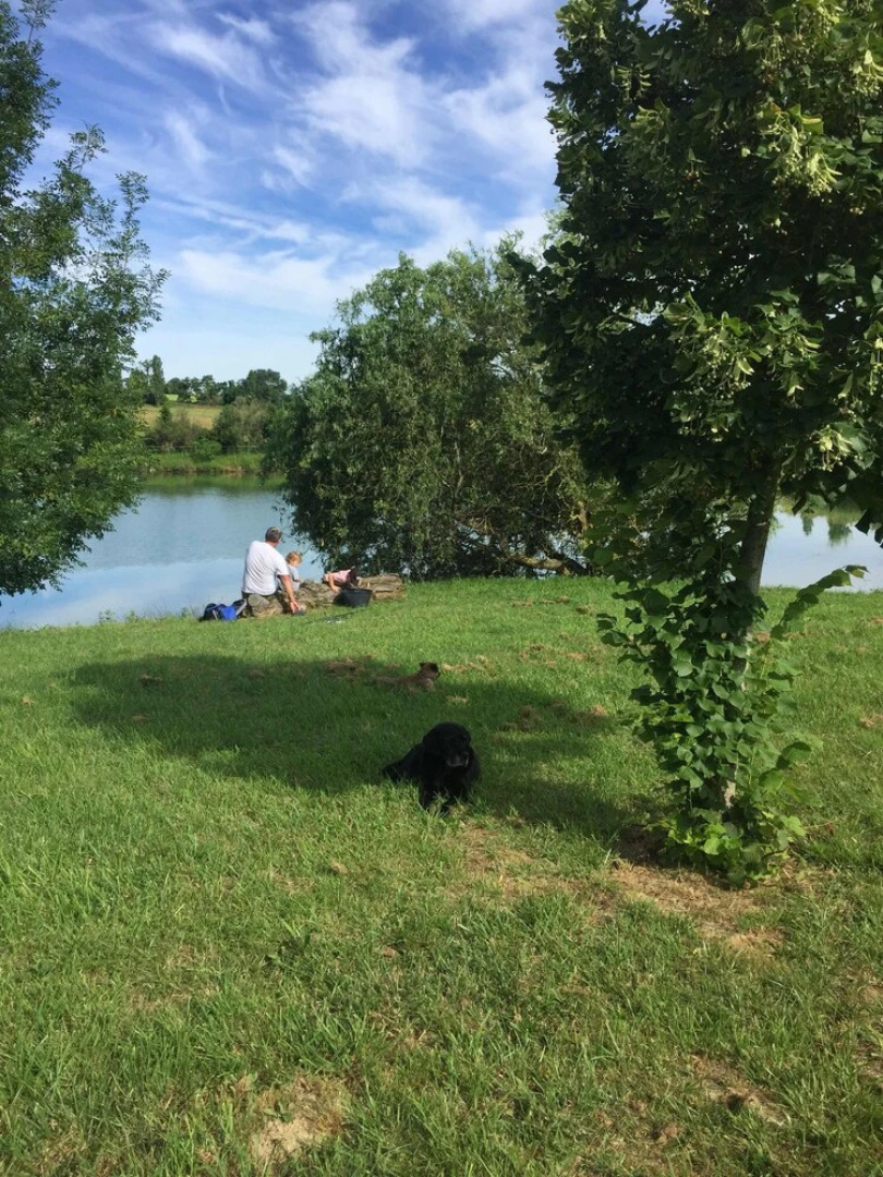 Domaine en Castanet - Gîte la Bergerie