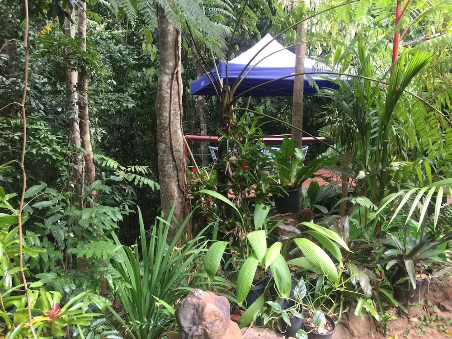 Tropical Bliss Bed and Breakfast