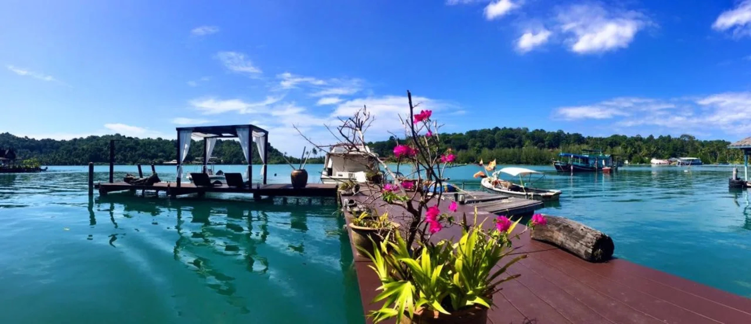 The Buddha View Guesthouse