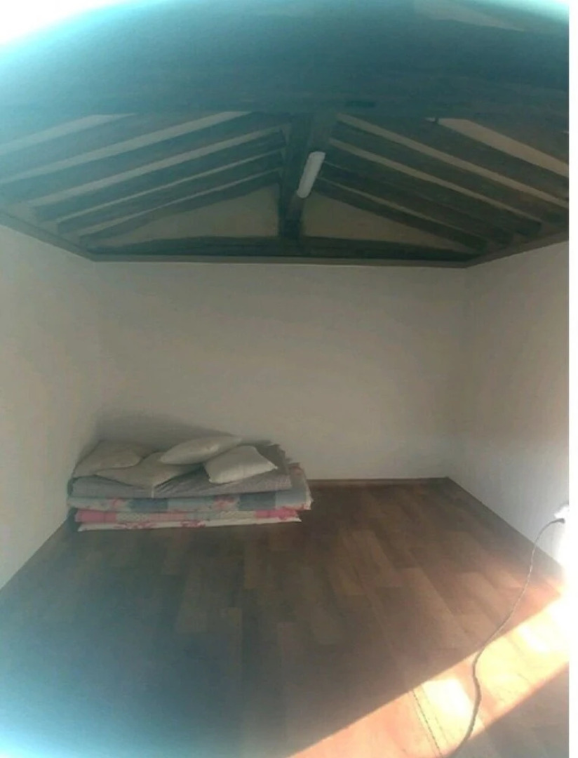 Chungju Wildflowers and Gotaengnadeuri