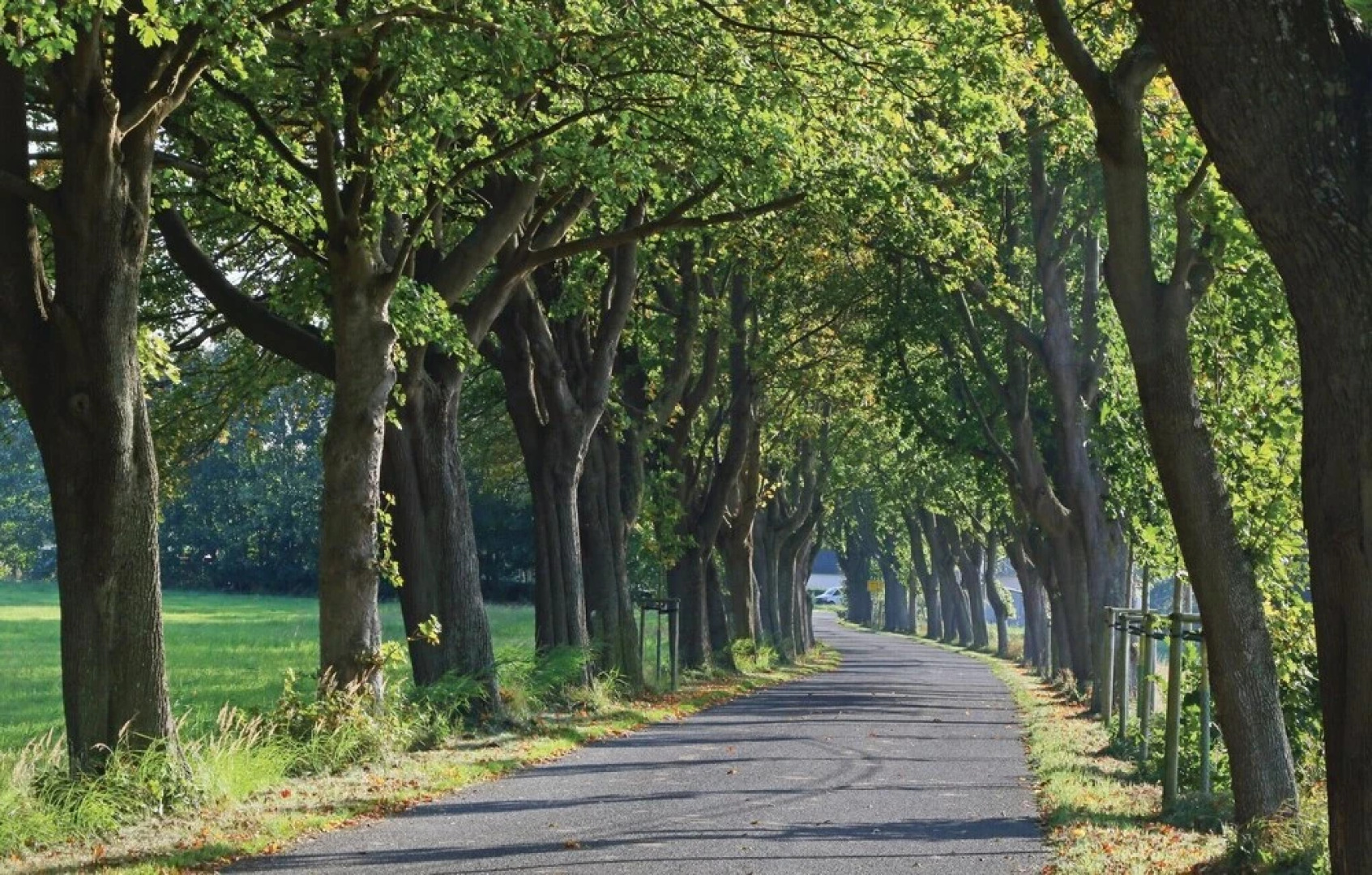 Beautiful Home in Altefähr/rügen With 3 Bedrooms and Wifi