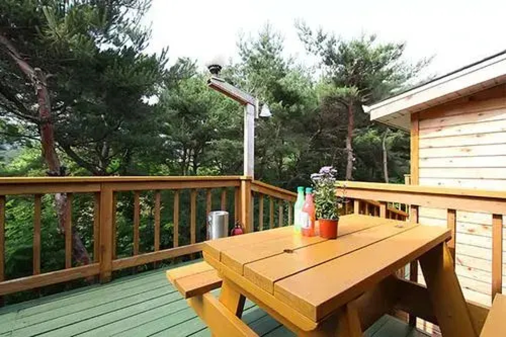 Squirrel And Akorn Pension