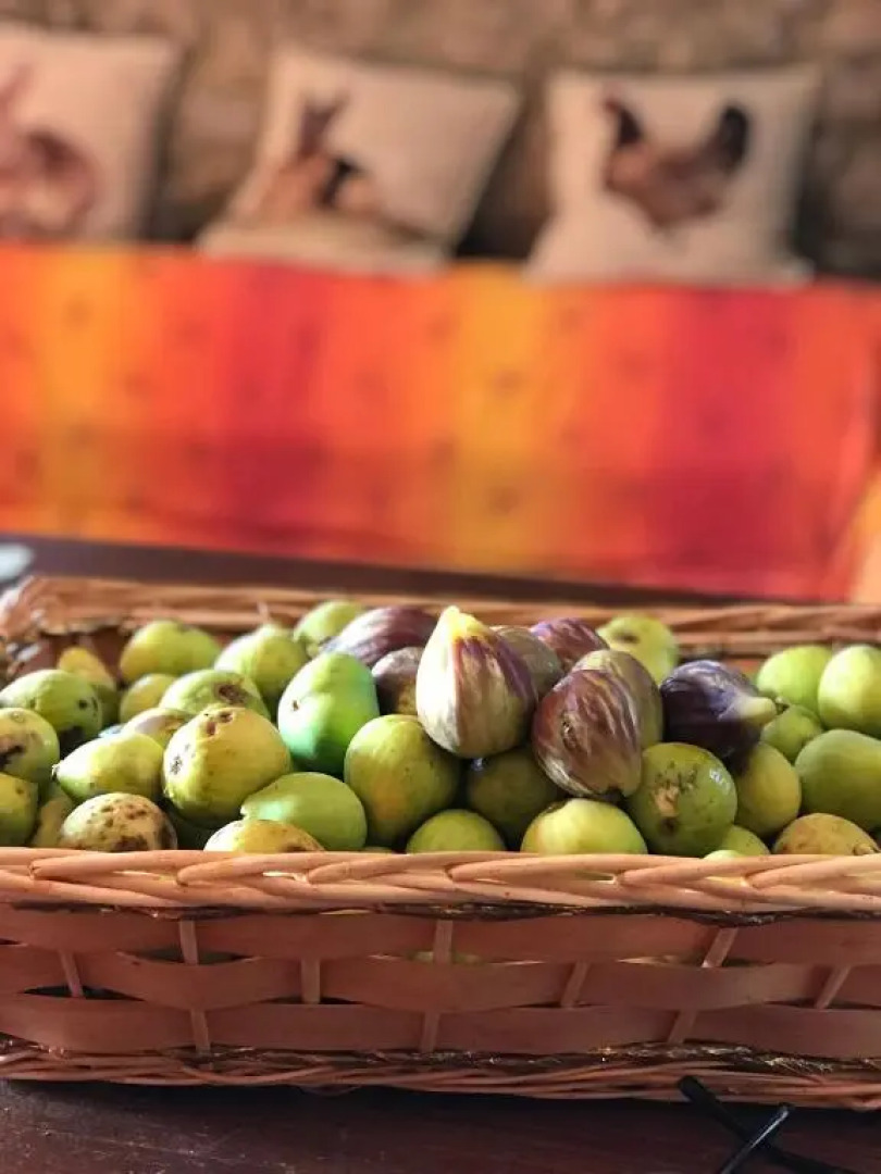 Agriturismo Casallario