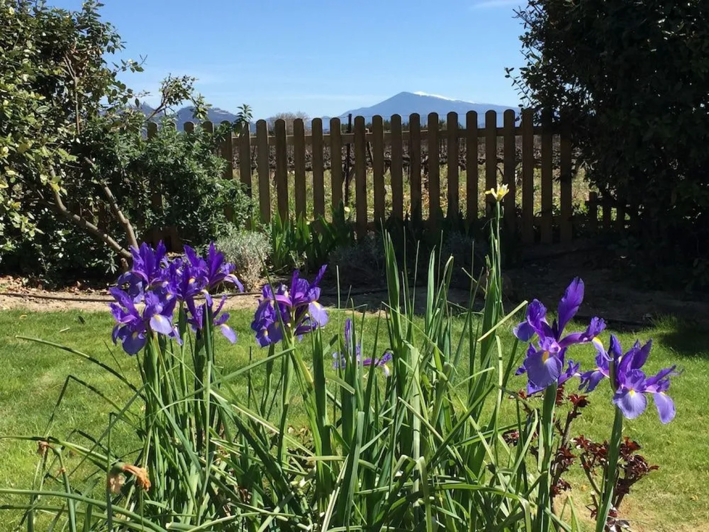 Mas du Clos de l'Escarrat