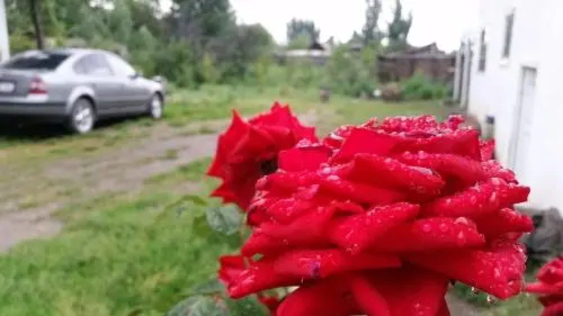 Guest house Krasnii Zvetok