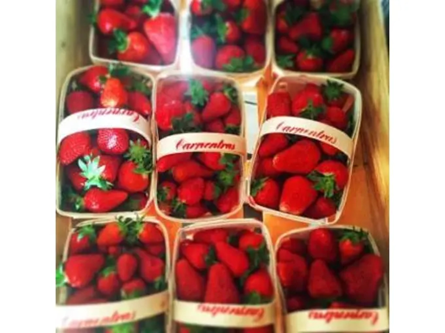 Hotel Restaurant La Grange du Relais