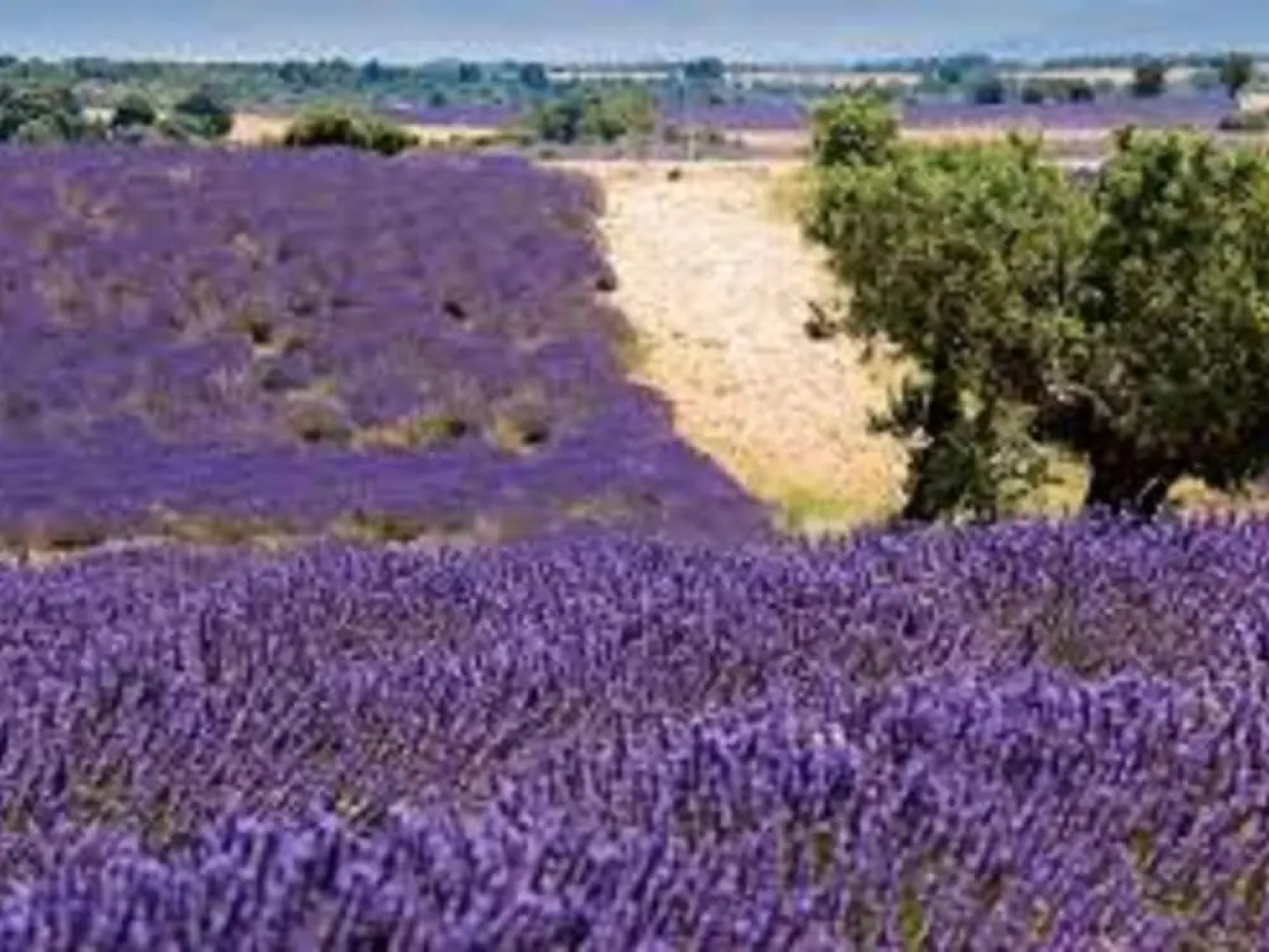 Holiday Home With Private Swimming Pool