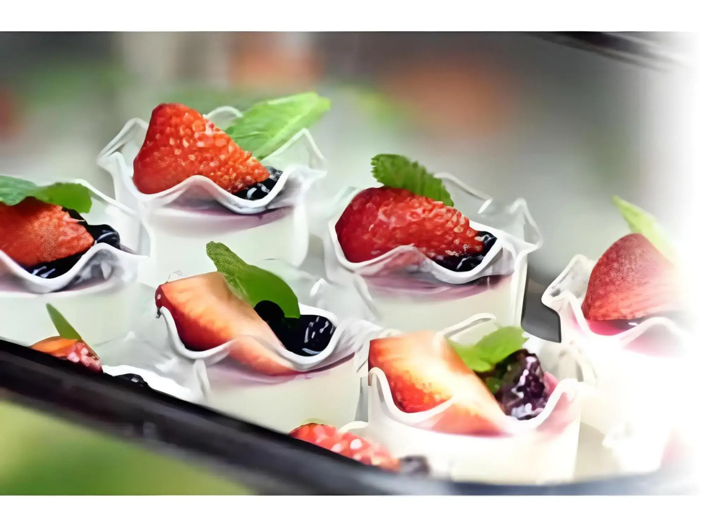 Jiragonno Fuji no Yakata