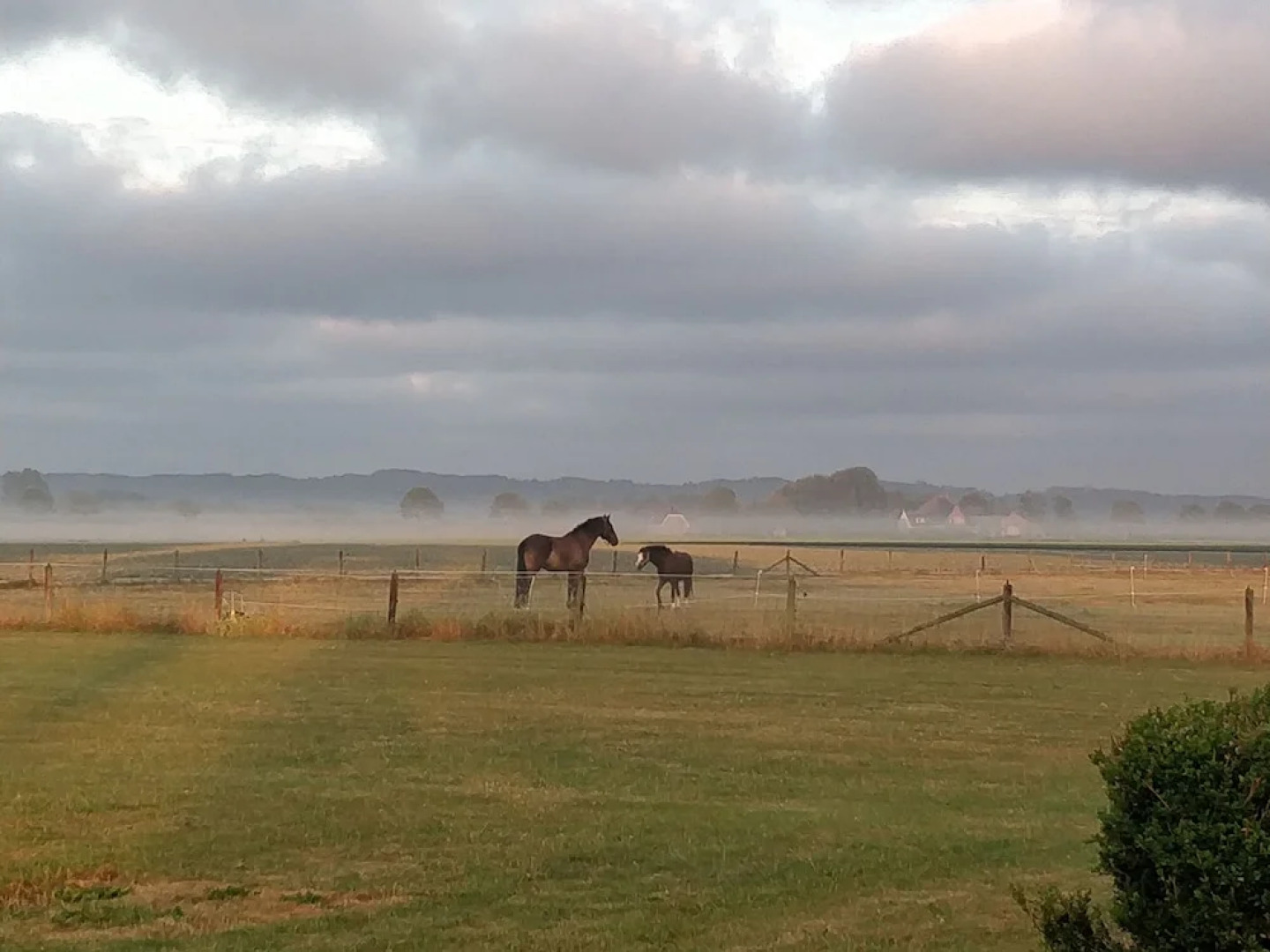 Restinn Warmenhuizen