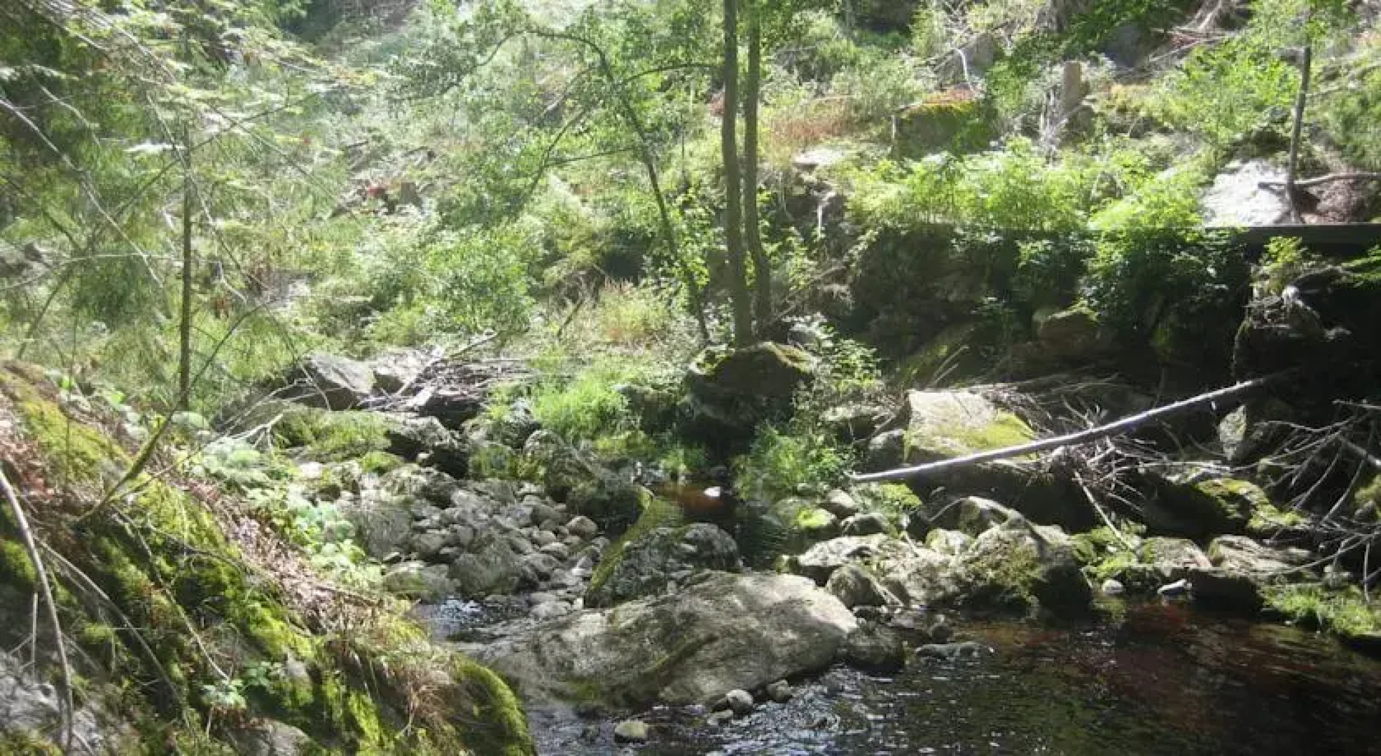 Ferienwohnung Burghart Zum Stausee