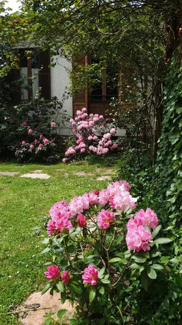 Lovely 3-bed Villa in Capranica