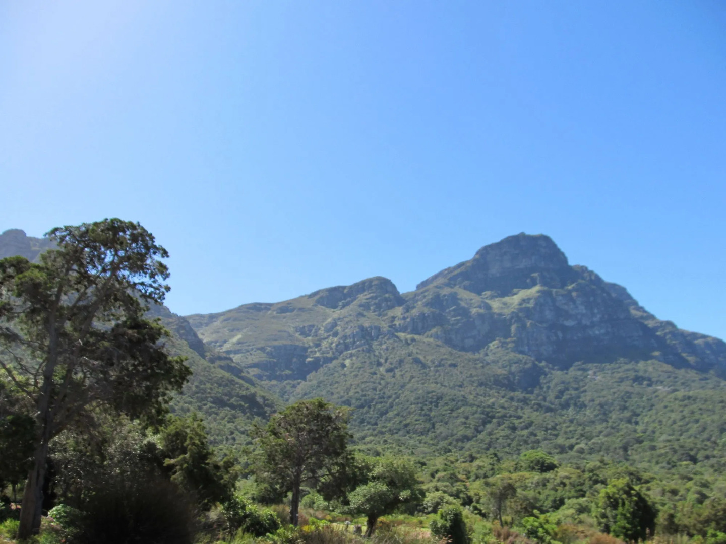 Bluebottle Guest House