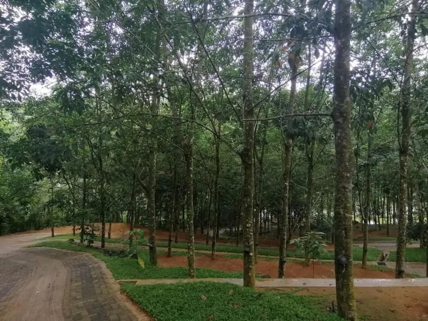Seethawaka Royal Resort