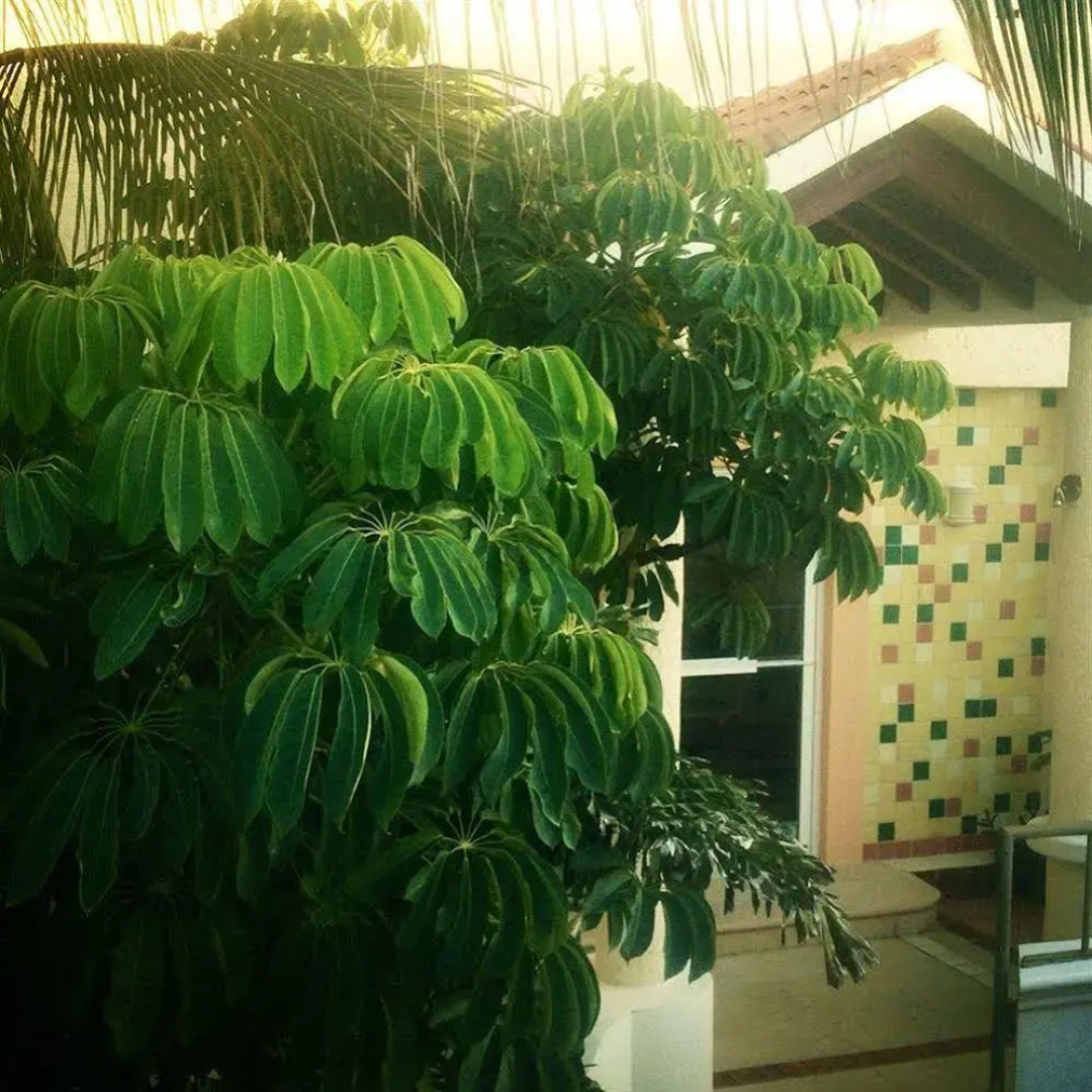 Marisol Boutique Hotel