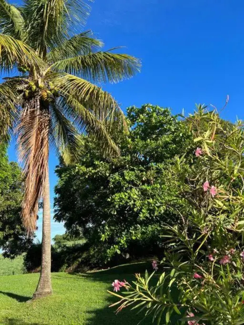 Zabana Lodge, dans un jardin tropical avec piscine