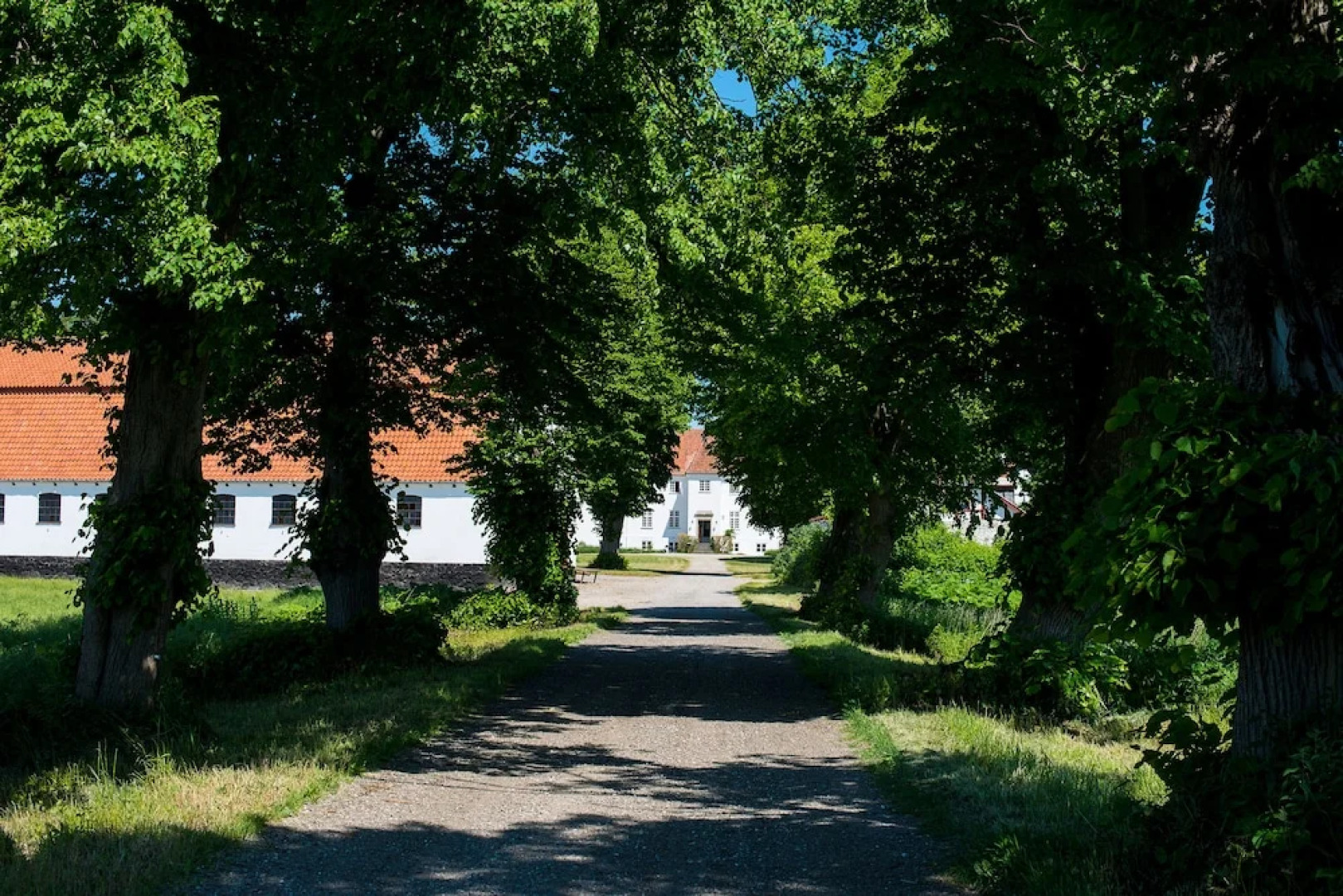 Øbjerggaard Bed & Breakfast
