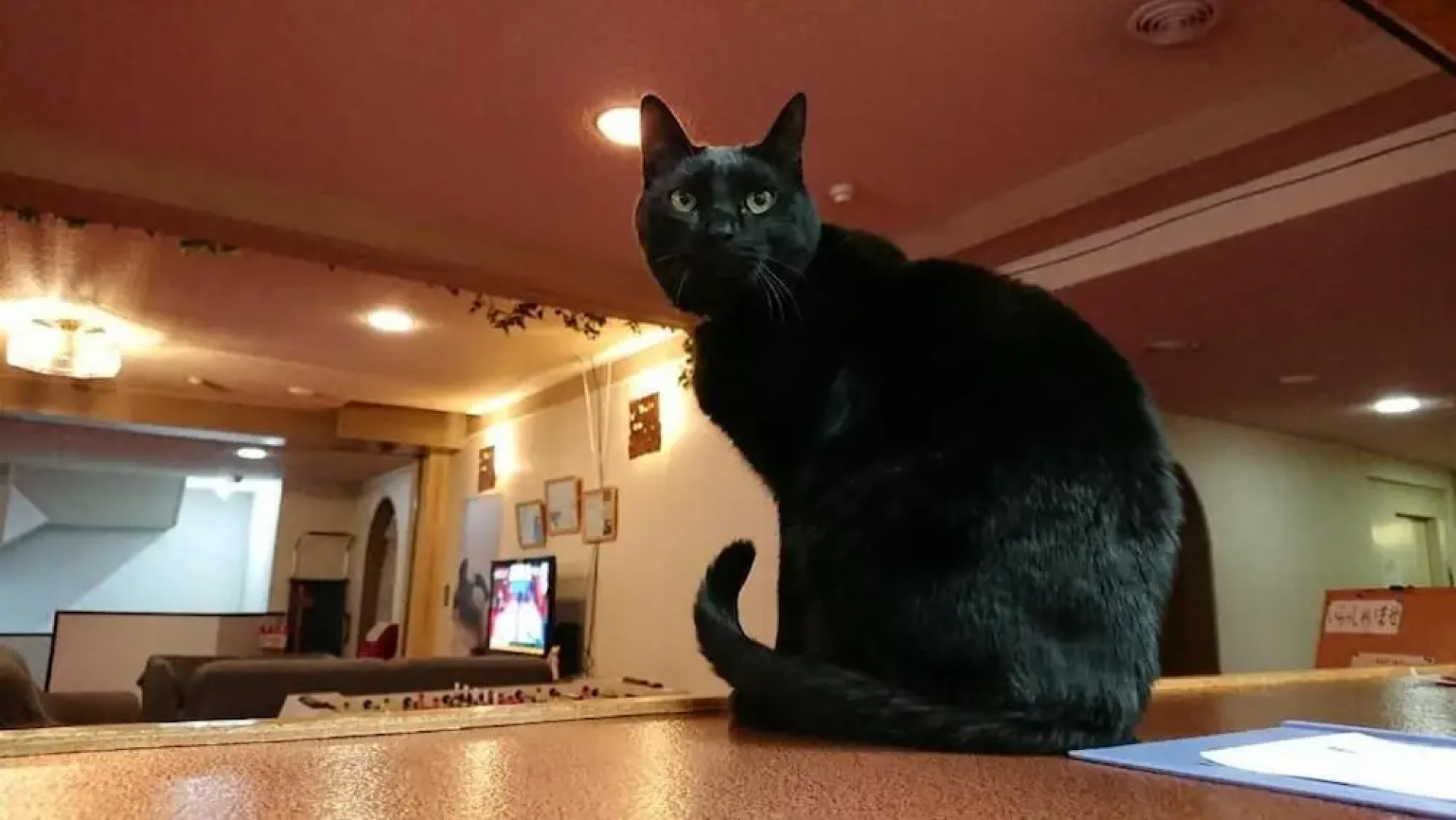 Sports Hotel SILVER SHIGA