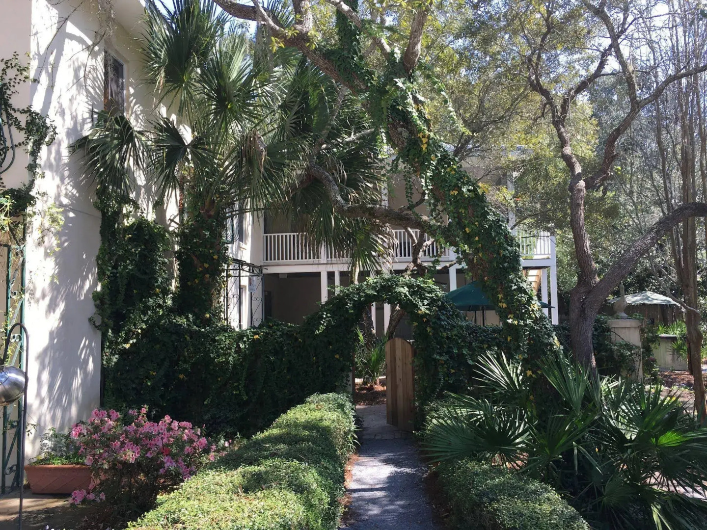 Hibiscus Coffee & Guesthouse