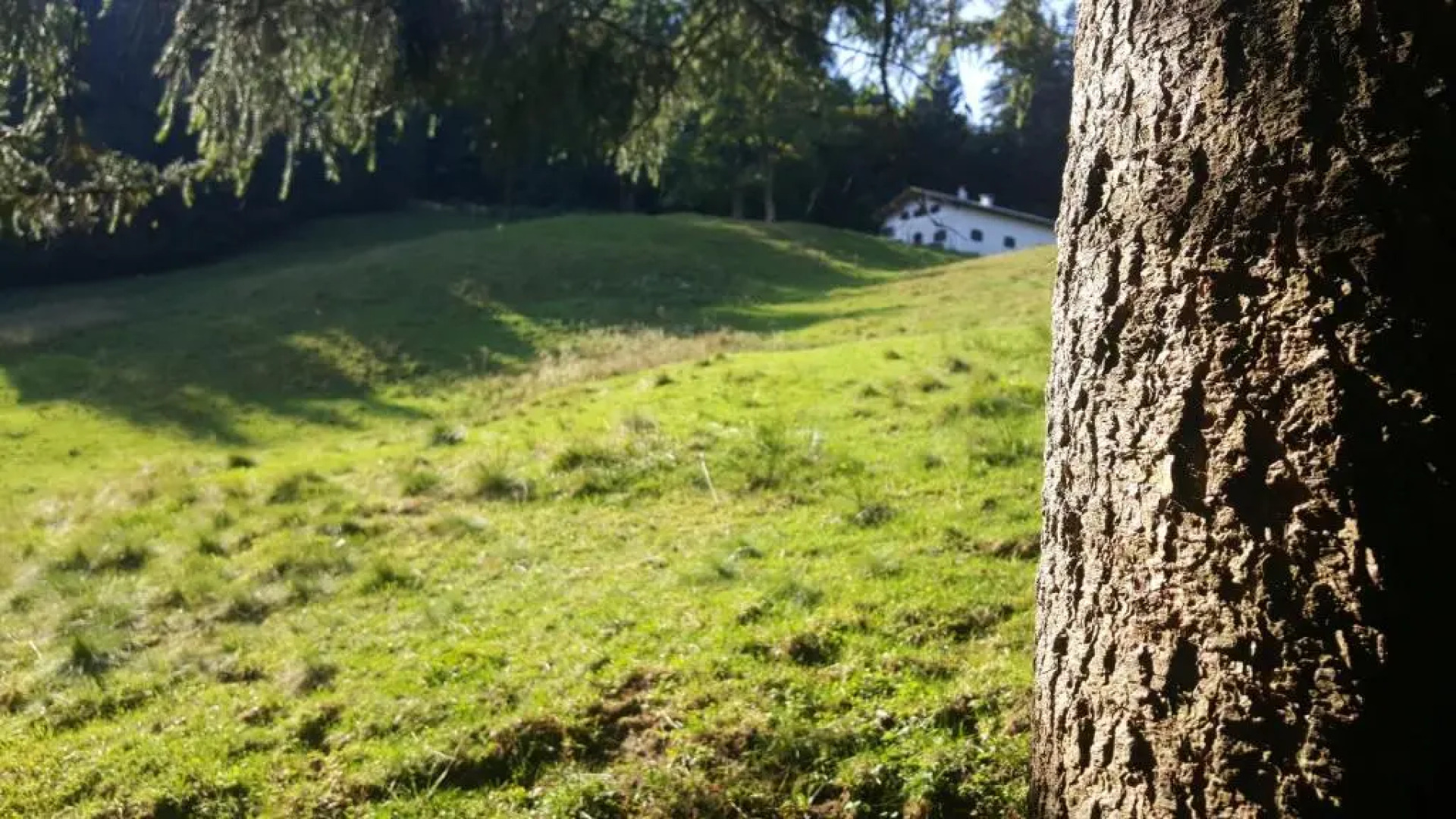 Ferienwohnung Haus Alpenrebe