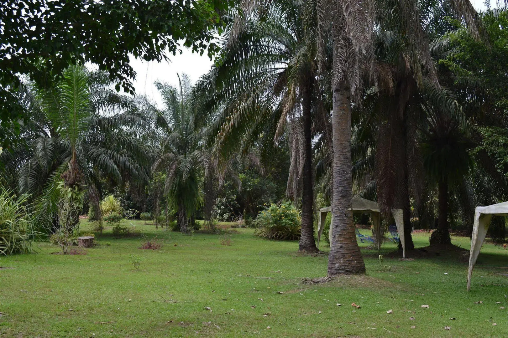 Hotel Framotel Kribi