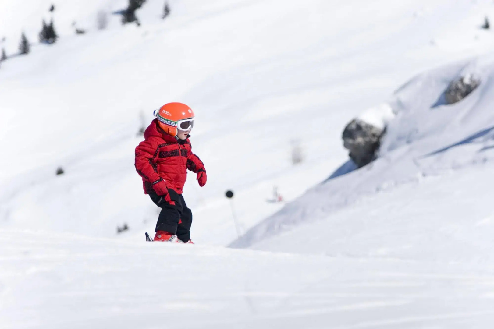Hotel Chalet del Brenta
