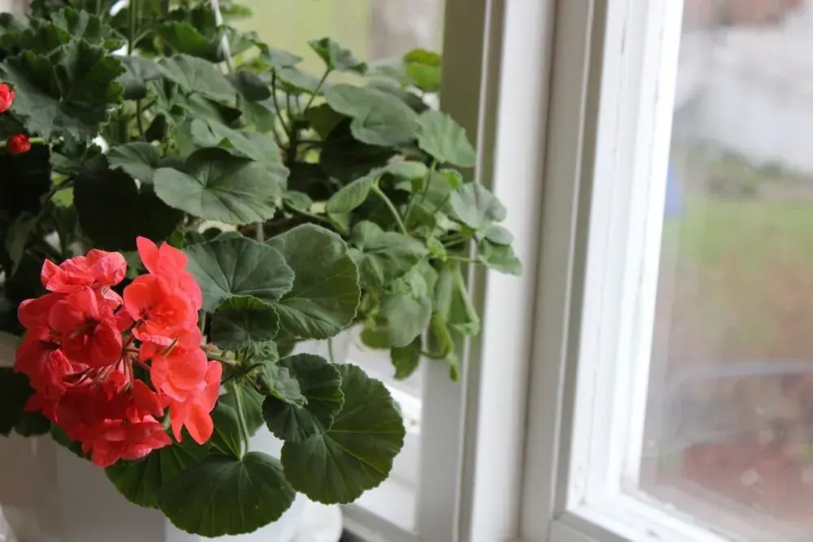 Stf Bralanda Vandrarhem