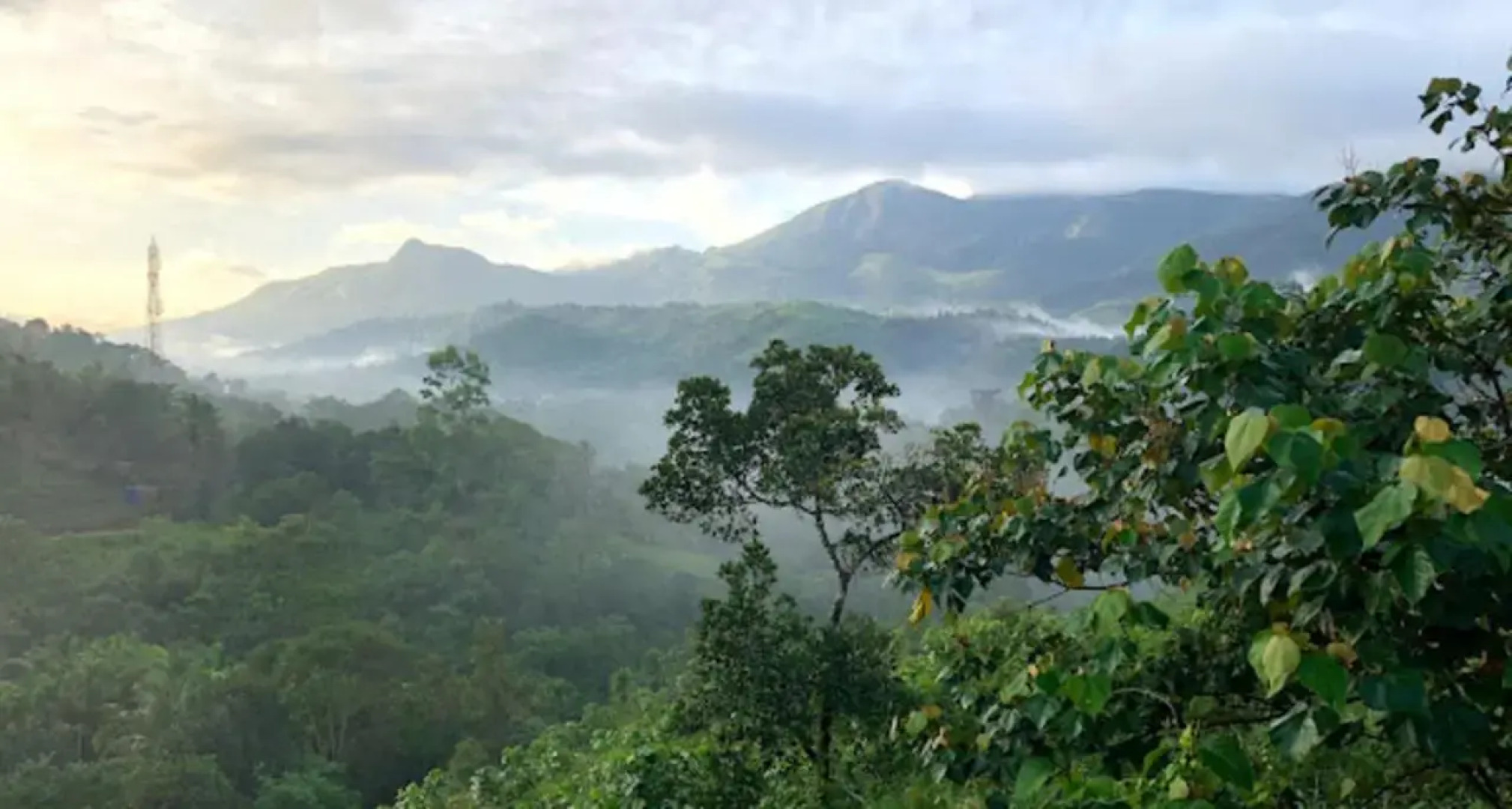 Wayanad Village Resort