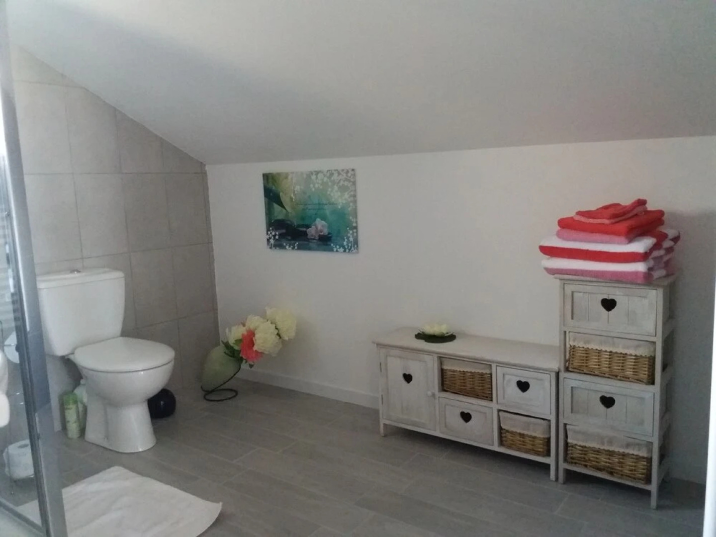 Les Oiseaux de Passage