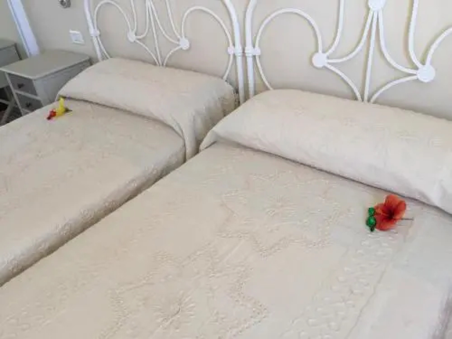 Apartamento Danmi y Janet