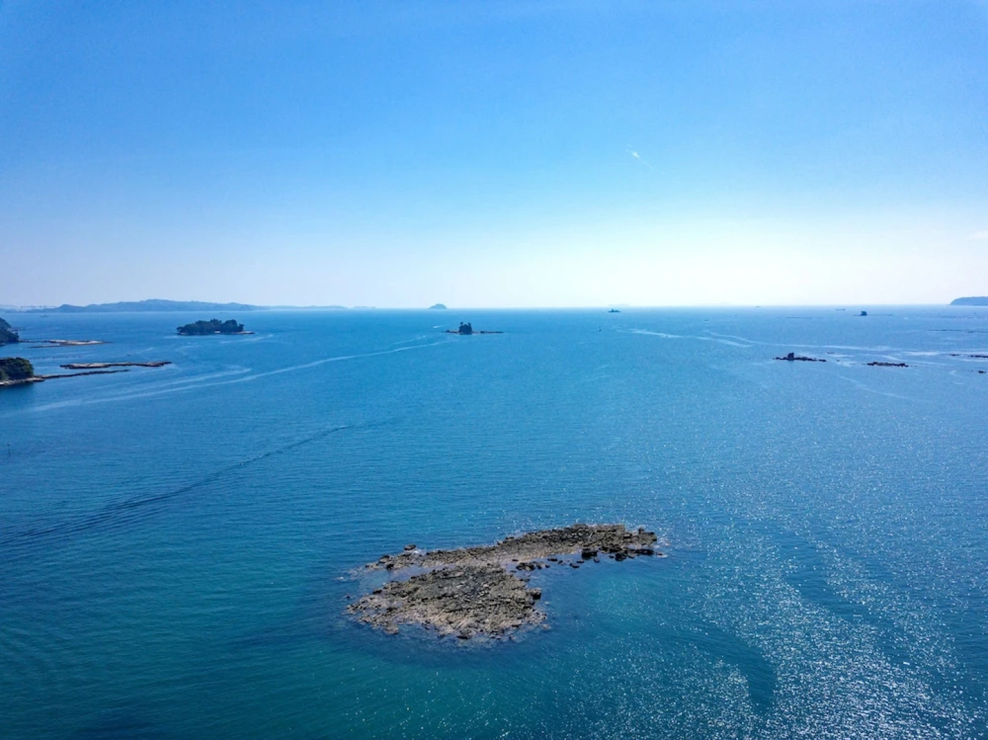 Kujyukushima Seaside Terrace Hotel & Spa Hanamizuki