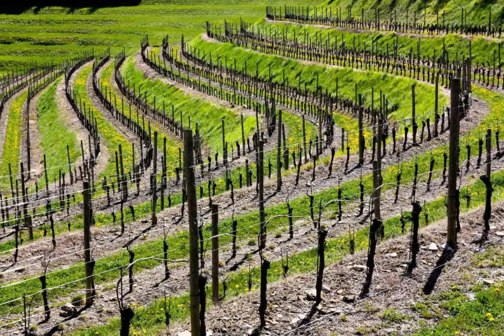 DOrsaria B&B And Wines