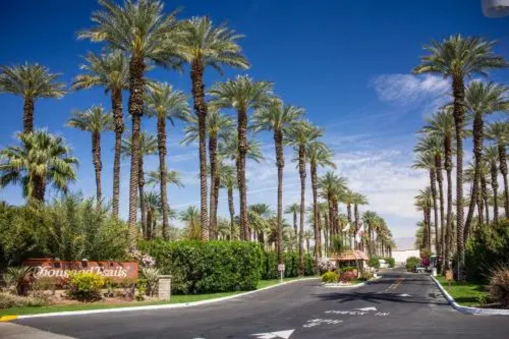 Palm Springs Camping Resort Cabin 3