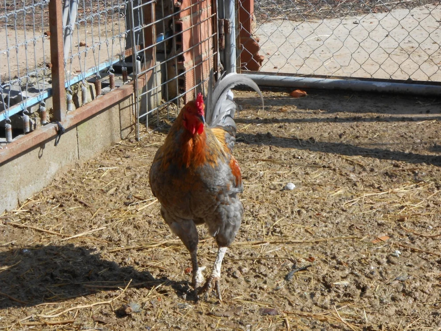 Casas Rurales La Derrubia