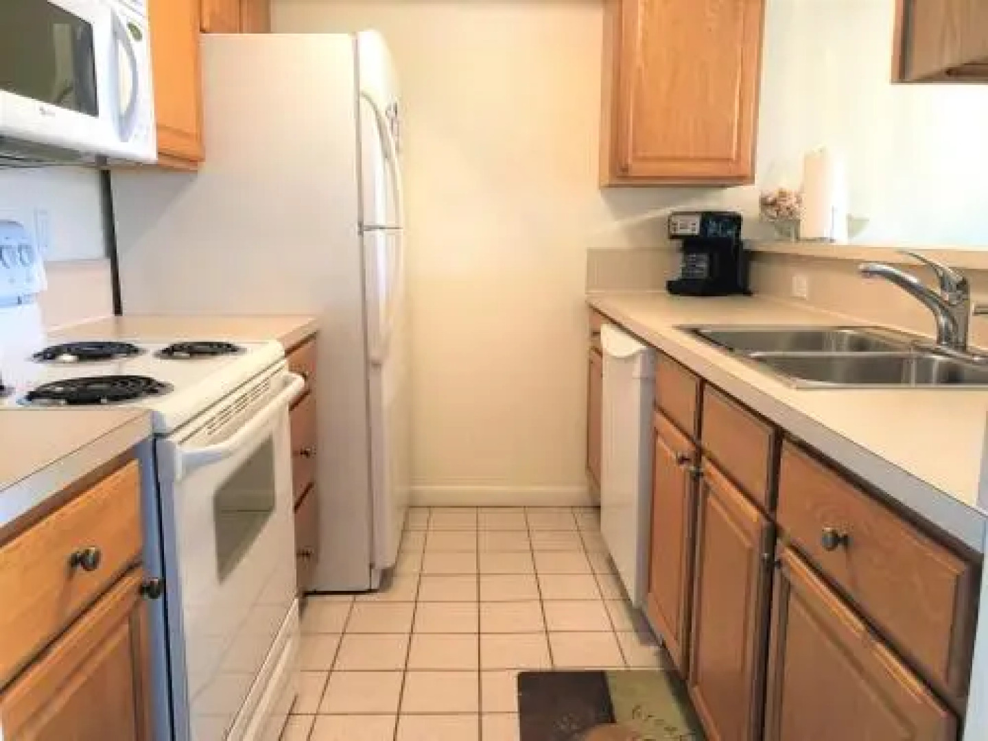 Ocean Village Coral Cluster 1023