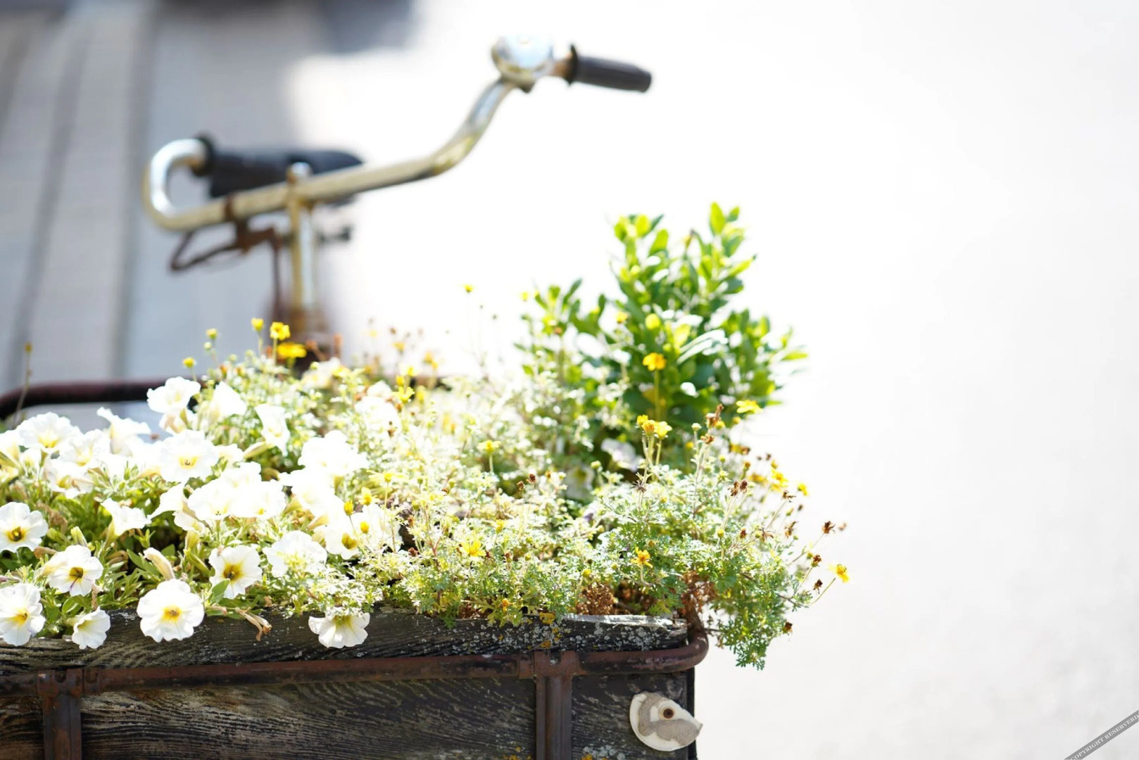 Weingut Martin Blass