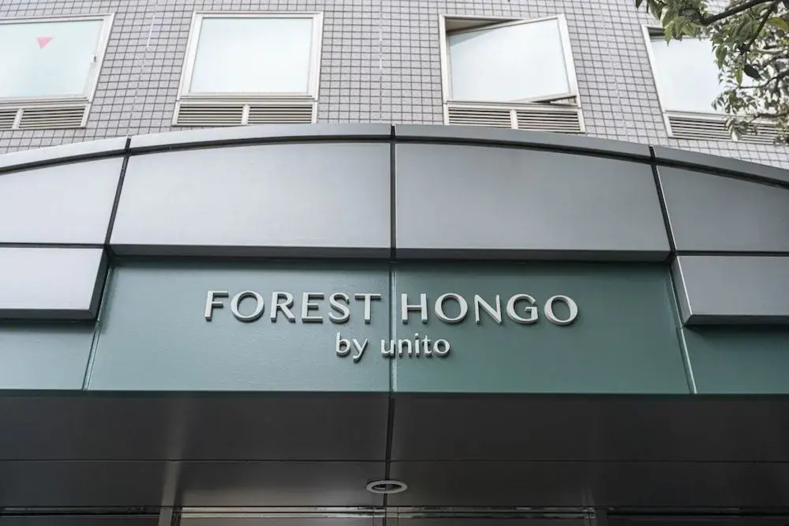 Forest Hongo By Unito