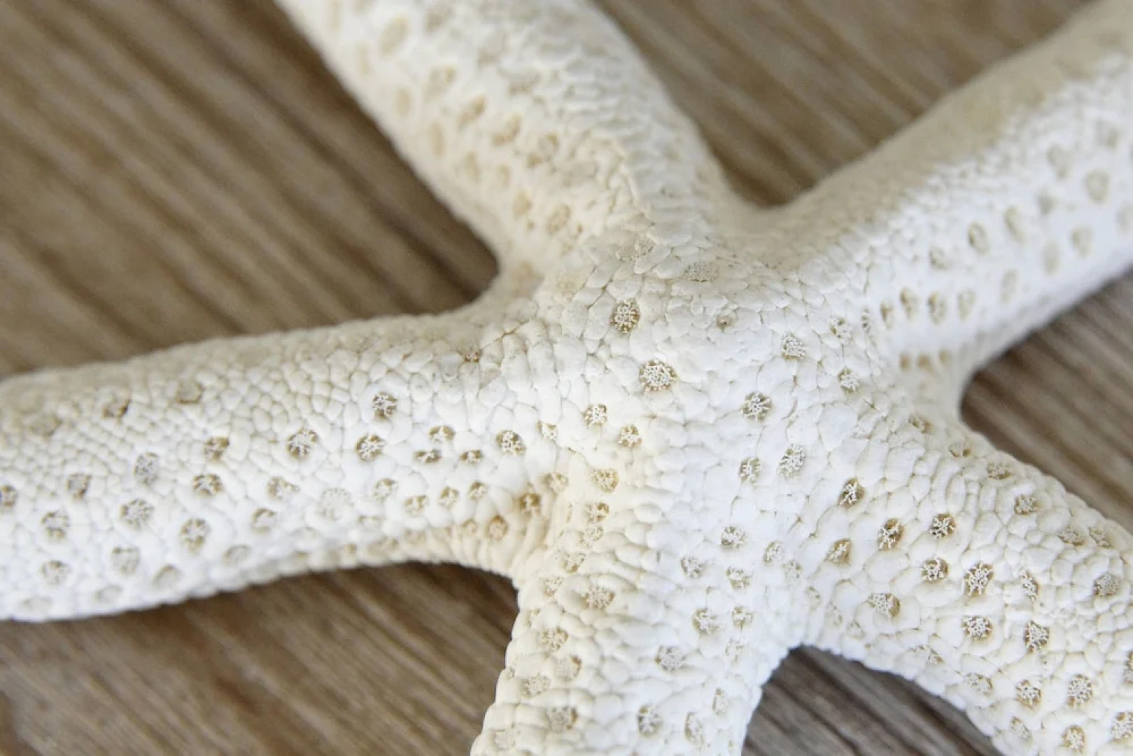 La Lisière du Bétey