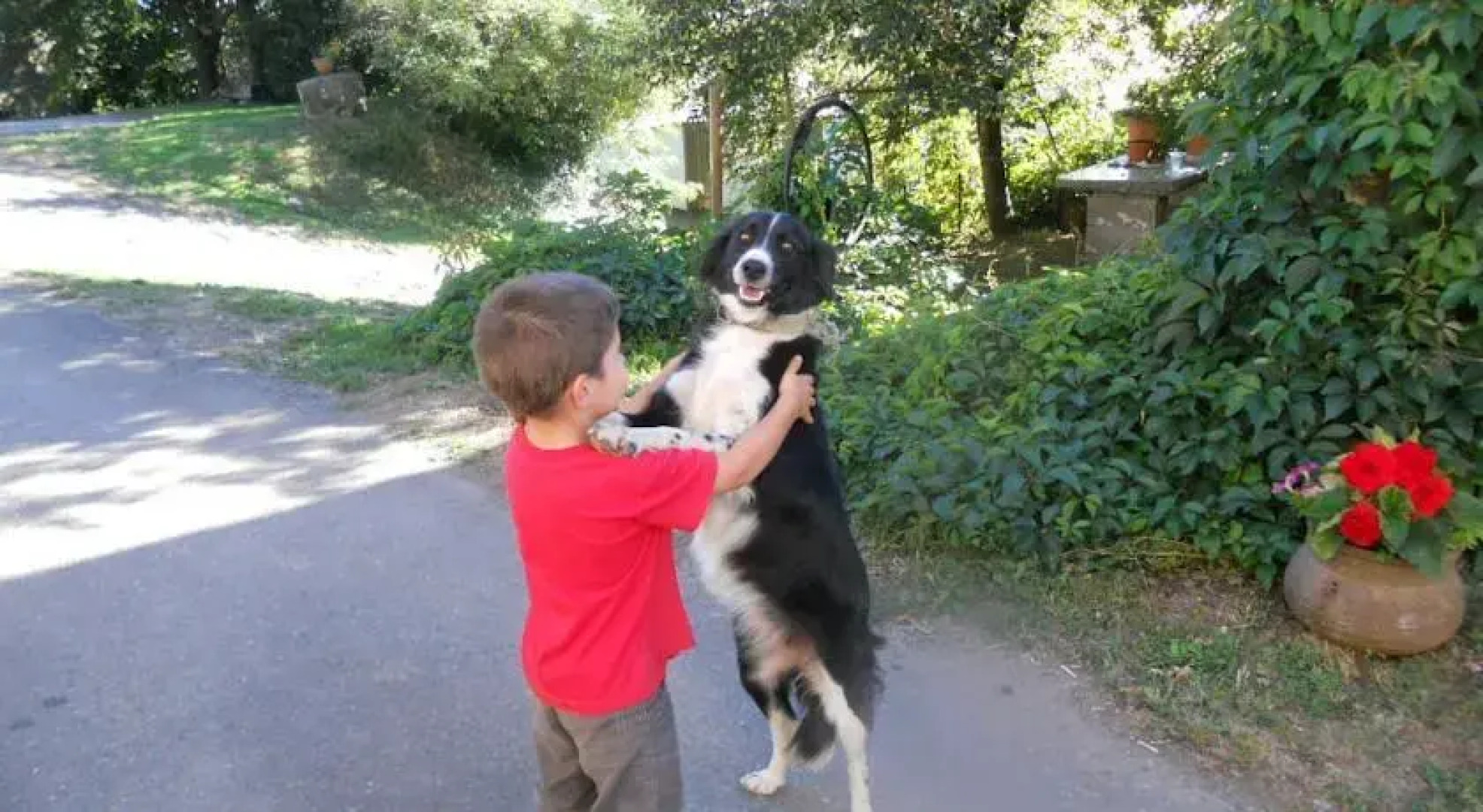 Les Gîtes de Costes-Auriès